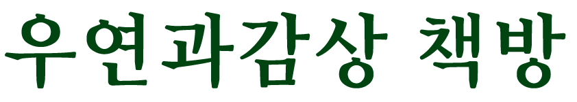우연과감상 책방